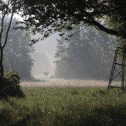 Vragenderveen Vragenderveen